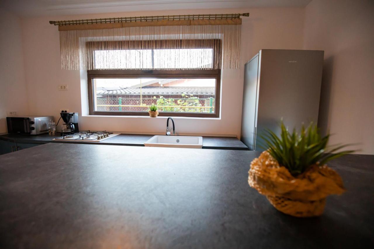 Dania&Petru Residence Tîrgu Ocna Buitenkant foto