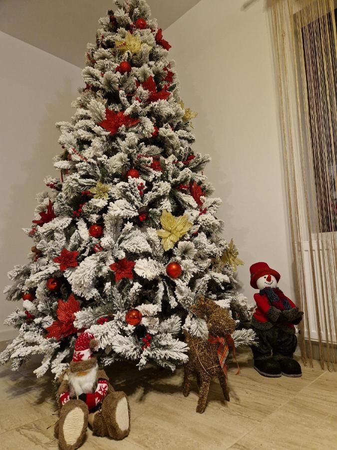 Dania&Petru Residence Tîrgu Ocna Buitenkant foto